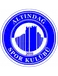 Altındağ Spor
