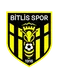 Bitlis 1916 FSK