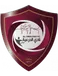 Al-Diraiyah FC