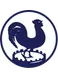 Quick U19