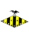 CD Ribadumia