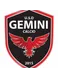 USD Gemini