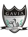 Gavia Choszczno