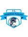 Minerva Punjab