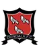 Dundalk FC