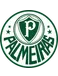 Palmeiras U15