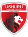 Ushuru FC