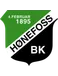 Hønefoss