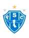 Paysandu SC logo