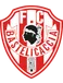 Bastelicaccia