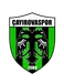 Çayırova Spor