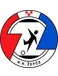Zepce 1919