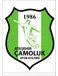 Çamoluk Spor