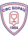 Borac Paracin