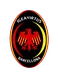 Igea Virtus