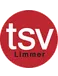 TSV Limmer U17