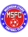 Michigan Stars