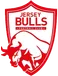 Jersey Bulls