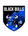 Black Bulls
