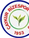 Ç. Rizespor U19