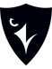 Carleton Ravens