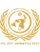 Flat Earth FC