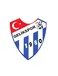 Gelikspor