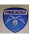 Pamukova 1968