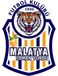 Malatya İY