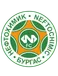 Neftochimic