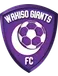 Wakiso Giants