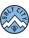 Salt City SC