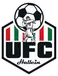 UFC Hallein II