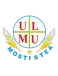 Mostistea Ulmu