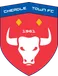 Cheadle Town