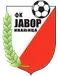 Javor Matis