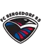 FC Bergedorf 85