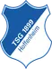 Hoffenheim U19