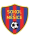 Sokol Mesice