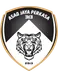 ASAD 313