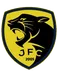 Jaguariuna FC