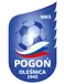 Pogon Olesnica