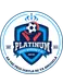 Platinum City