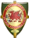 Llansantffraid