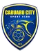 Caruaru City