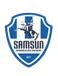 Samsun BB