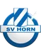 SV Horn
