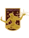 DCFC Academy