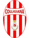 VF Colligiana