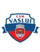 CSM Vaslui